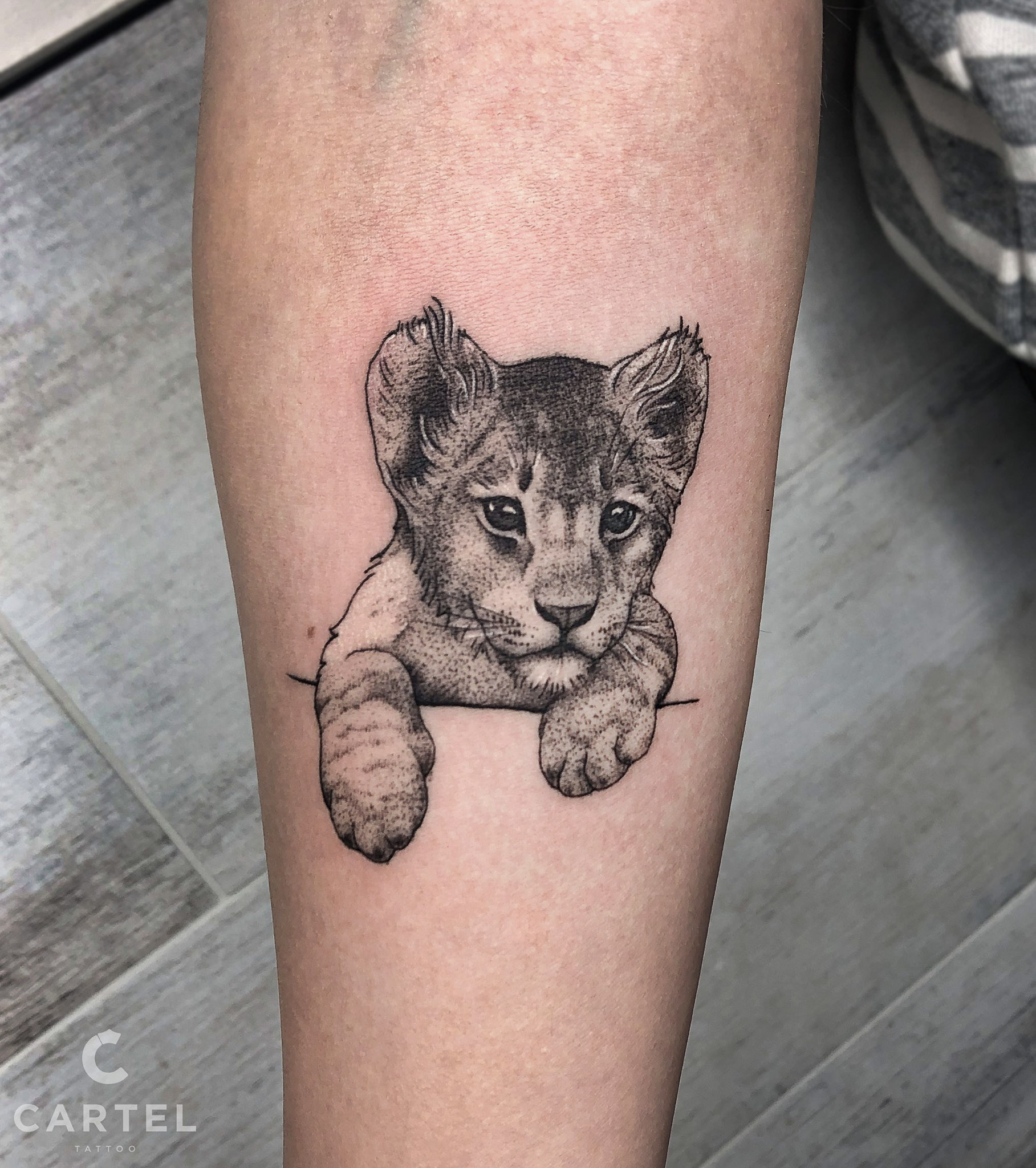 Second Skin Tattoo  Lion and cubs done by Tim  Facebook